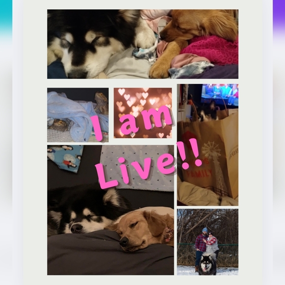 I am LIVE!!! @Taylorstepanski - Picture 3 of 5